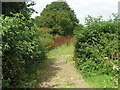 Entrance into a field from the B3164 in Burstock