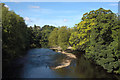 River Wharfe from the Old Bridge in LS29 0EY
