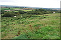 Horses in rough pasture in TQ7 4DX