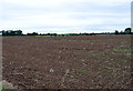 Fields near Sturgeon's Farm in CM1 3SA