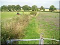 Footpath across the fields in DE55 5NQ