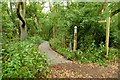 Raised footpath through Bushy Leaze Copse in OX2 9NX