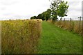Footpath to Lower Whitley Farm in OX2 9NX