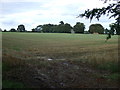 Farmland, Nettleham Heath in LN2 2XX