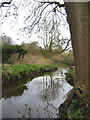 Wistaston Brook in Wistaston