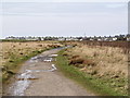 Broughton Moor from Old Opencast Road in Broughton Moor