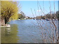 Looking Downstream at Sunbury-on-Thames in TW16 6BT
