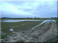 Fields by the North Forty Foot Drain in PE20 3SJ