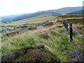 Fence and wall above the Minchmoor Road in TD7 5JY