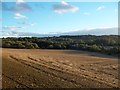 Ploughed Field viewed from Miller Hill in S70 5XP