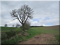 Arable land near Strathallan in PH5 2BG