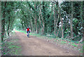 Cyclist on Marriott's Way in NR10 4DX