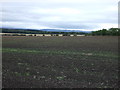 Farmland south of the A199 in EH33 1EA