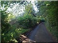 Dobbinhorse Lane in Clifton and Compton
