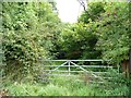Gated track into Pentre-waun Wood in NP4 0TH