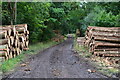 Timber stacks beside track in Bentley Wood in SP5 1AG