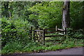Kissing gate entrance to woodland path in SP5 1AD