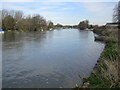 River Thames at Walton-on-Thames in TW16 6BY