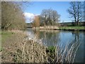 The River Stour (Throop Fisheries) in BH23 2TG