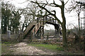 Footbridge, Old Basing, Hampshire in RG24 7AJ