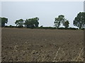 Ploughed field north of Shaw Lane in S72 8FG