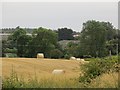 Round bales on the edge of Cupar in KY15 4ND