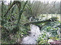 Fast-flowing brook in TR12 7QY