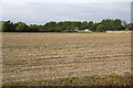 Farmland by the M42 in B76 0DX