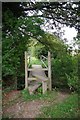 Stile & Footbridge on FP11 in CM12 9NW