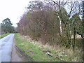 Bleatarn wood in CA16 6PX