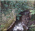 Gors-fawr Brook between Waunarlwydd and Gowerton in SA5 4QL