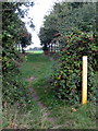 Path through the grove towards Astwood in MK16 9JS