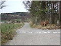 Road junction at Craigmyle in AB31 4LR