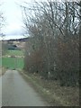 Road towards Pitcullen from Craigmyle in AB31 4NL