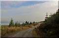 Forest road high above the Firth of Clyde in PA23 7LN