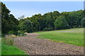 Roadside field near Warren Farm in SP5 1LU