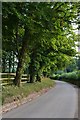 Trees beside lane near Warren Court Farm in SP5 1LU