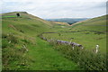 Path into Narrowdale in Alstonefield