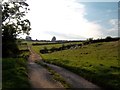 Track and Bridleway to Riddings in DE6 1PY