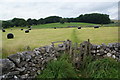 Path across a field of bales in Alstonefield