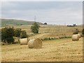 Round bales, Middleton in KY13 0SD