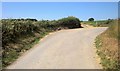 Lane to Mouseberry Cross in EX17 4SW