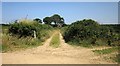 Field access track near Lutworthy in EX17 4SW