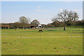 Whites Park Equestrian, Newton in SP5 2QQ