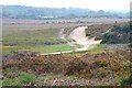Pathways near Holmhill Bog in SO42 7QB