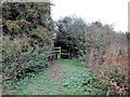Footpath and Stile to Lower Lane in CH3 6HP