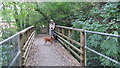 Bridge over Bartley water in SO40 8UG