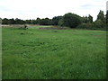 Farmland east of Fishley Lane in WS3 3PZ