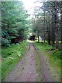Track through Drumbuie Wood in PH8 0ET
