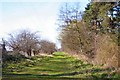 Track at Home Wood in Beck Row, Holywell Row and Kenny Hill